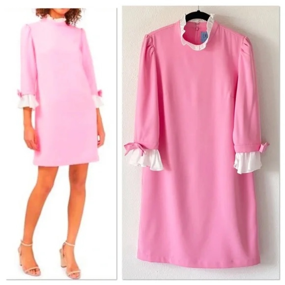 NWT Pink Dress with white ruffle trim